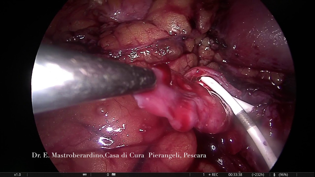 Enzo Mastroberardino-4