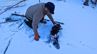 Quick Beaver trapping with Jesse