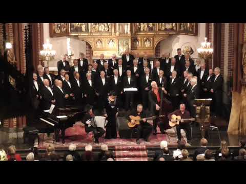 Het Gipsy-ensemble TABOR o.l.v. Roger Moreno