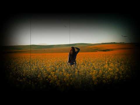 GENER8ION, 070 Shake - Neo Surf Reverb Slowed 432Hz