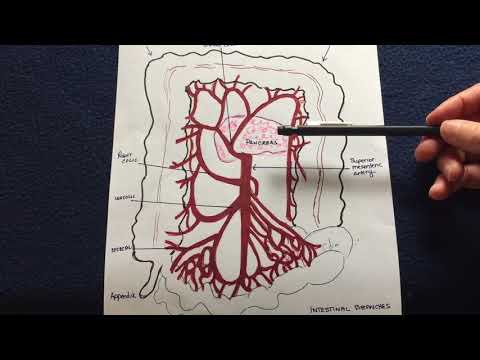 Bowel Resections: (Part 7) Blood Supply  to Bowel