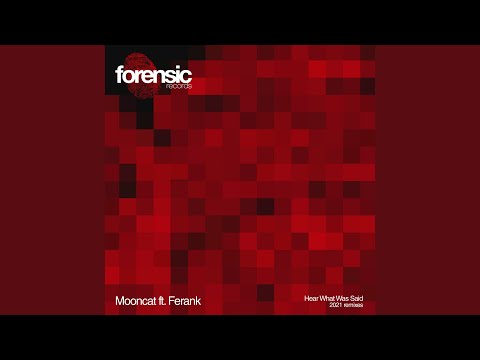 Hear What Was Said feat. Ferank (Marcelo Vasami Remix)