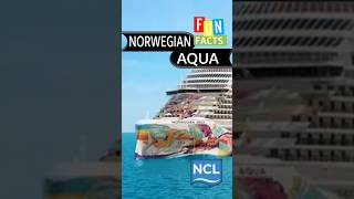 I Wish I Knew This Before I Cruised on Norwegian Aqua. #holiday #cruise #travel