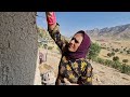 A Mother S Mountain From Betrayal To Bravery A Nomadic Woman S Fight For Her Children