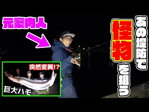 再生数900万回越えのあの堤防でヤツを狙う