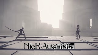 最後の戦い『NieR:Automata - ニーア オートマタ』#38