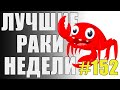 ЛРН выпуск №152. ВЗВОД ИЗ СУРРОГАТОВ И ДЫРЯВЫЙ МОСТ Лучшие Раки Недели