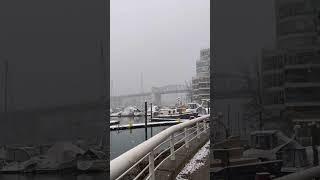 バンクーバー2月下旬に雪 #vancouver ら #バンクーバー在住 #バンクーバー生活