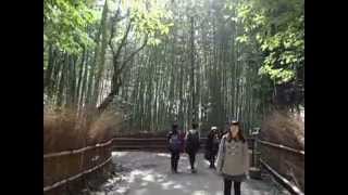 preview picture of video 'Kyoto 京都 Arashiyama Sagano 嵐山嵯峨野 天龍寺・竹林の道'