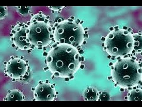 Coronavirus song |Coronavirus preventive measures |Coronavirus song by Dipisha