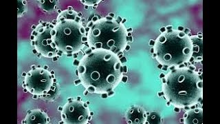 Coronavirus song |Coronavirus preventive measures |Coronavirus song by Dipisha