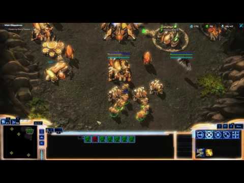 Starcraft II Unification of Purifiers part 1