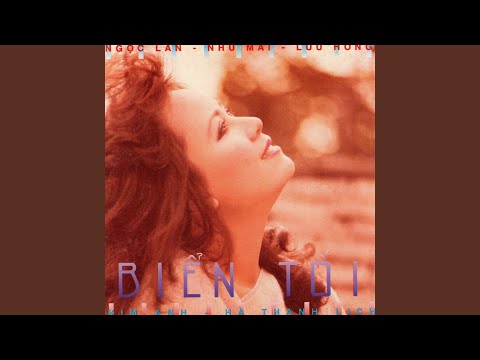 HẢI ÂU NHỚ BIỂN