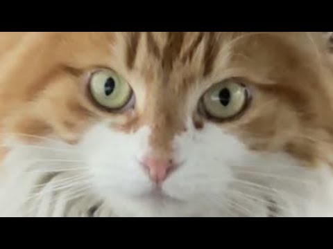 Video thumbnail for Must Have Meant