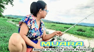 Download lagu mancing ikan di sungai kampung pedesaan pemandangan ya indah mp3 Download lagu mancing ikan di sungai kampung pedesaan pemandangan ya indah mp3