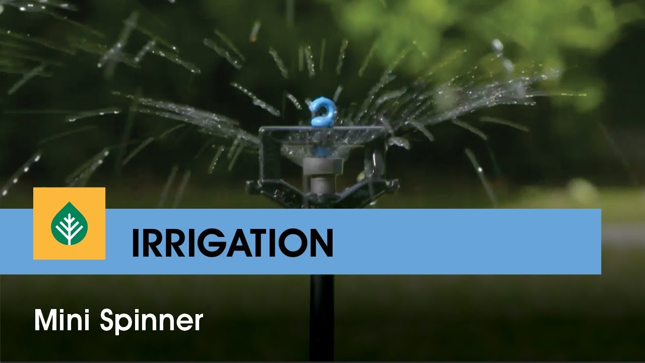 Mini Spinner