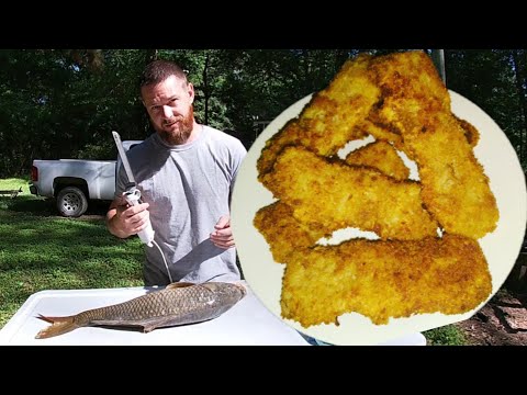 How to Fillet and Process Common Carp For Boneless Fish Sticks