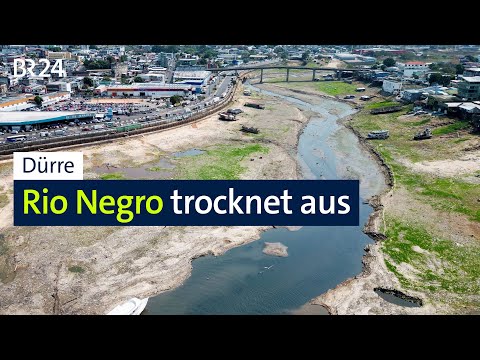 Drought: Rio Negro dries up | BR24