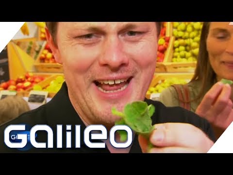 Self-experiment: How effective is the raw food diet of the Instinktos? | Galileo | ProSieben