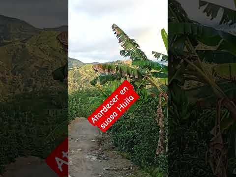 #viral # tardeser # en # suasa Huila # gracias # por # todo su apoyo Dios los bendiga