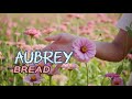 Aubrey - BREAD (Lyrics) HQ Audio #aubrey #bread #davidgates
