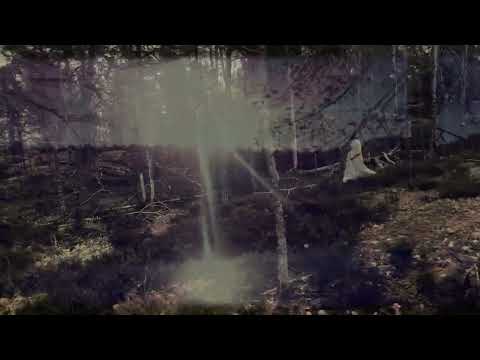Beyond The Forest - feat. Mikael Åkerfeldt - Official Video
