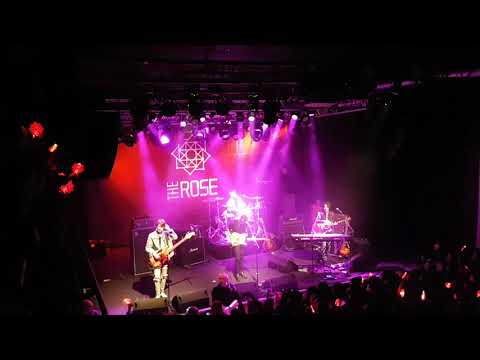 181130 The Rose (더 로즈) i.l.y + sorry - Paint It Rose in Stockholm