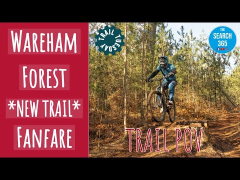Wareham Forest | Fanfare | Trail POV | GoPro 9 Max Lens