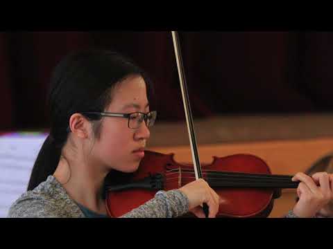 West Coast Fiddleheads: Dusty Wine Bottle / Tam Lin