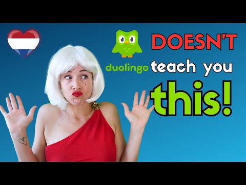 All the BASICS of DUTCH Verbs! DuoLingo does NOT teach you this!  #learndutch (NT2)
