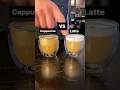 CAPPUCCINO VS LATTE #COFFEE #COFFEELATTE #LATTE #COFFEEART