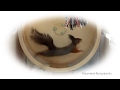 Baby squirrel Noble. Бельчонок Ноби. Цыганочка с выходом. 手工蛋白 ...