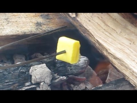 download lagu mp3 mp4 Roasted Starburst, download lagu Roasted Starburst gratis, unduh video klip Roasted Starburst