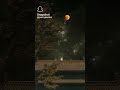 9 November 2023 Viral Feel New Nature