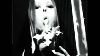 Liz Vicious °•☆.•