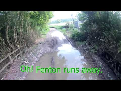 Fenton, Fenton! Come back Fenton! (reprise part 2)
