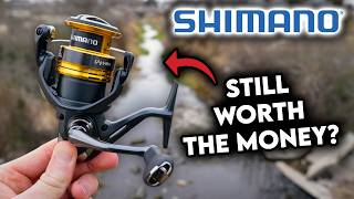 Shimano Sahara FJ Full review: Is This Reel Overrated?