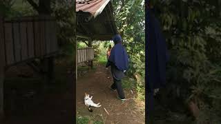 Download lagu LATAH NGOMONG K0N7*L mp3 Download lagu LATAH NGOMONG K0N7*L mp3