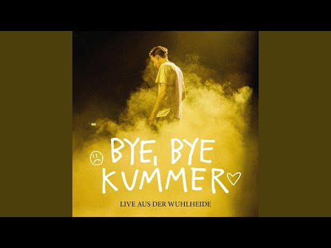 DER LETZTE SONG (ALLES WIRD GUT) (Live aus der Wuhlheide)