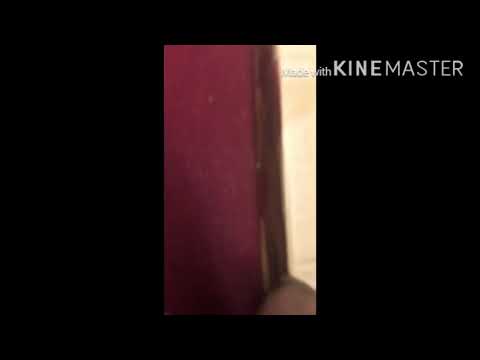 Unboxing and review Devoko Ergonomic Gaming Chair Racing Style