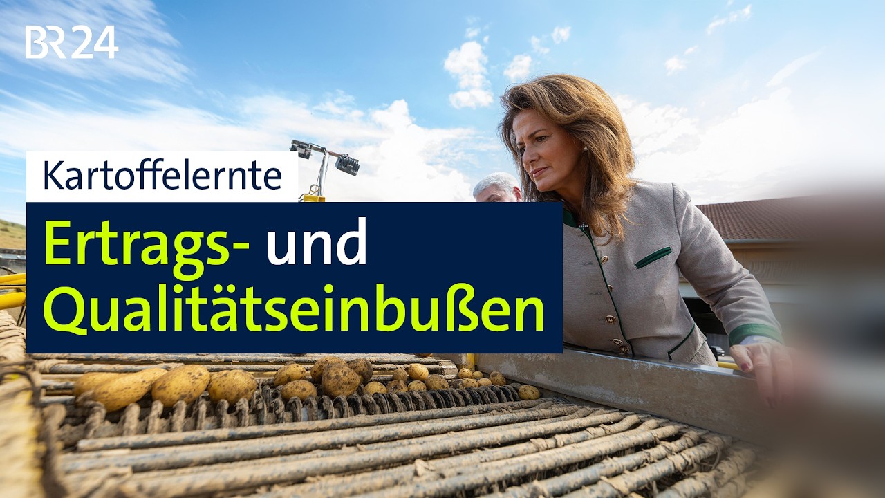 Landwirte im Freistaat rechnen mit unterdurchschnittlichen Erträgen | BR24
