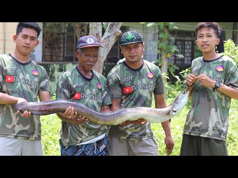 The REAL RIVER MONSTER | Ang HARING PALOS ( San Pablo City, Laguna )
