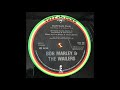 Buffalo Dub - Bob Marley & The Wailers - Tuff Gong Records 12IS 108B