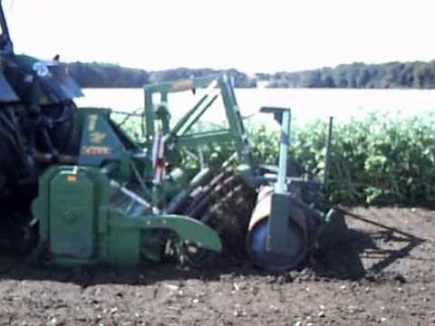 Biofumigation P&P Coenen (info:www.ppcoenen.de)