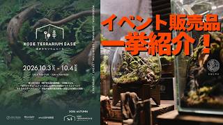 テラリウム好き必見！イベントに持っていく作品＆素材を全部紹介します｜KOBE TERRARIUM BASE