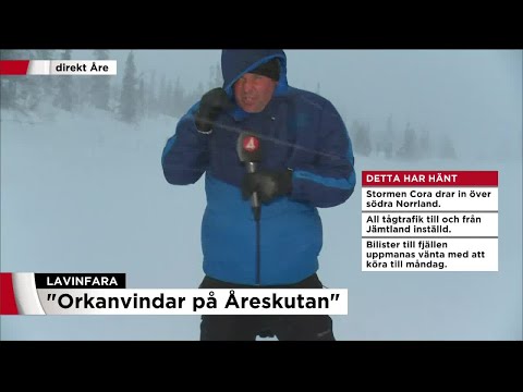 "Svårt att stå upprätt" - TV4Nyheternas utsände mitt i stormen - Nyheterna (TV4)