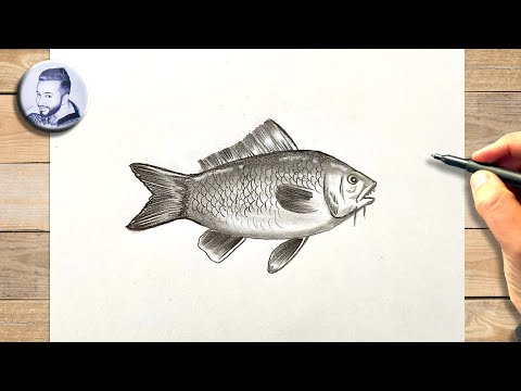 Tuto comment dessiner un poisson réaliste facile à faire par étape