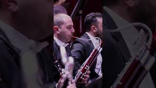 Download lagu Tchaikovsky - Dance of the Little Swans mp3
