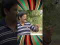 ఇలా సోమరిపోతులా ఉంటే ఇదే పరిస్థితి..! | Devatha - Video
