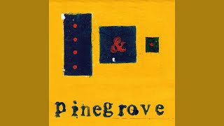 Pinegrove - Need 2 (Backing Track)